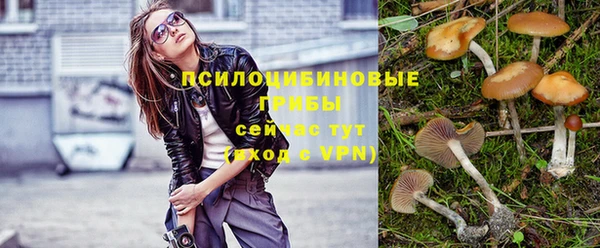 меф Инта